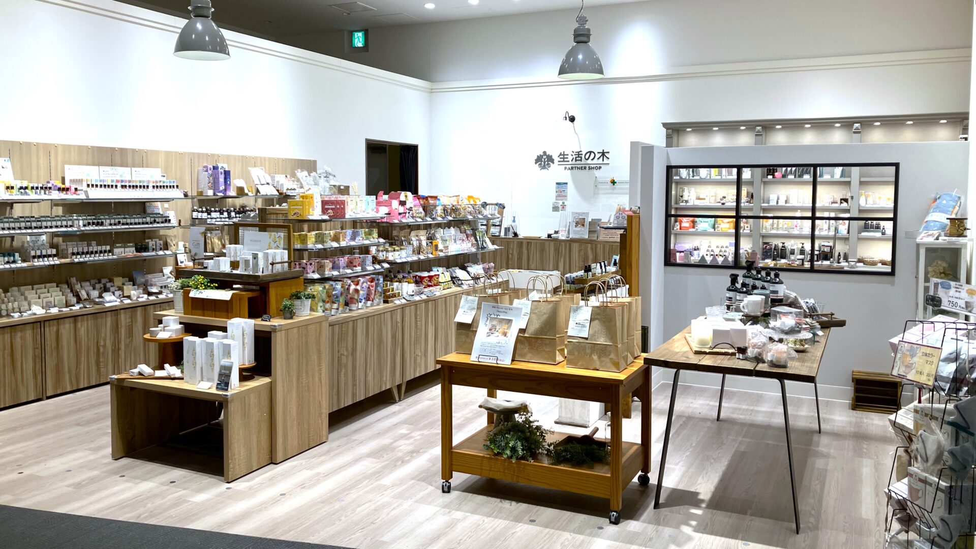 イーアスつくば店